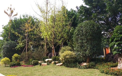 園冶杯專業(yè)獎：資陽市嬌子大道綜合整治建設工程-節(jié)點景觀提升