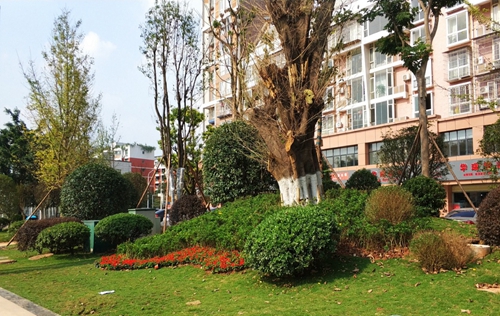 園冶杯專業(yè)獎：資陽市嬌子大道綜合整治建設工程-節(jié)點景觀提升