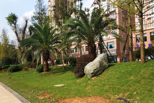 園冶杯專業(yè)獎：資陽市嬌子大道綜合整治建設工程-節(jié)點景觀提升