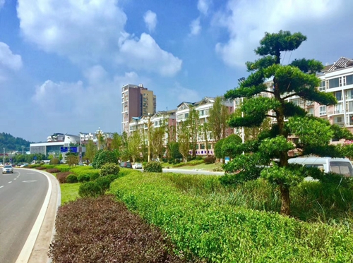 園冶杯專業(yè)獎：資陽市嬌子大道綜合整治建設工程-節(jié)點景觀提升