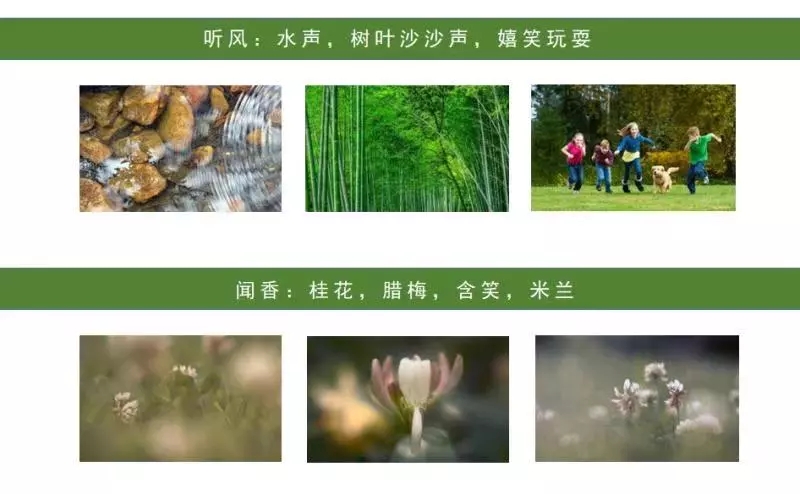 園冶杯專業獎：聯投·棲夢臺示范區