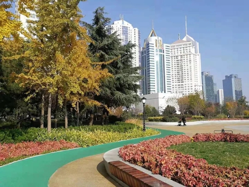 園冶杯專業(yè)獎：青島市普寧路游園景觀工程