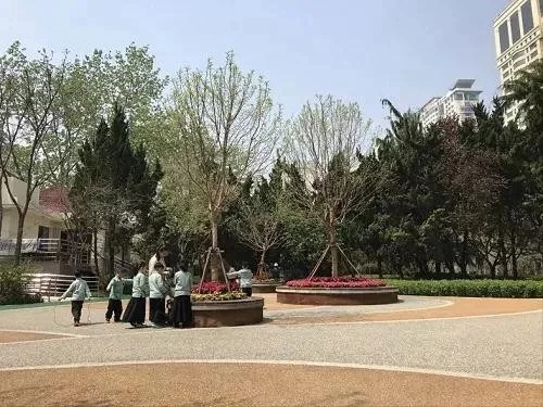 園冶杯專業(yè)獎：青島市普寧路游園景觀工程