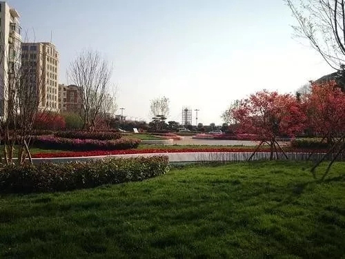 園冶杯專業(yè)獎：青島市普寧路游園景觀工程