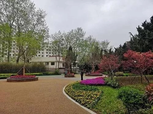 園冶杯專業(yè)獎：青島市普寧路游園景觀工程