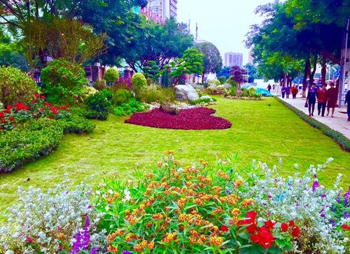 園冶杯專業(yè)獎：資陽市嬌子大道綜合整治建設工程-節(jié)點景觀提升