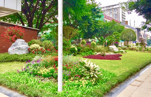 園冶杯專業(yè)獎：資陽市嬌子大道綜合整治建設工程-節(jié)點景觀提升