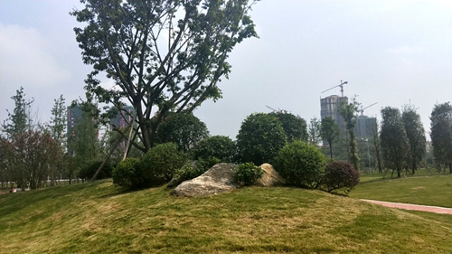 園冶杯專業獎：資陽高新區中韓創新創業園資陽基地華西牙科產業園景觀工程