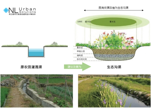 園冶杯專業獎：安順市邢江河上游水環境治理