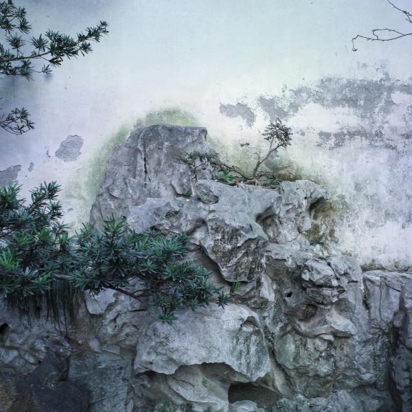 同濟大學(xué)紀(jì)念古建園林專家陳從周誕辰百年