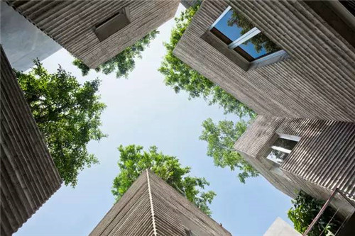 越南建筑師武重義：用竹子為城市爭取綠色空間 