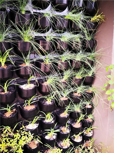 園冶杯專業獎：中航資本大廈超高層屋頂花園