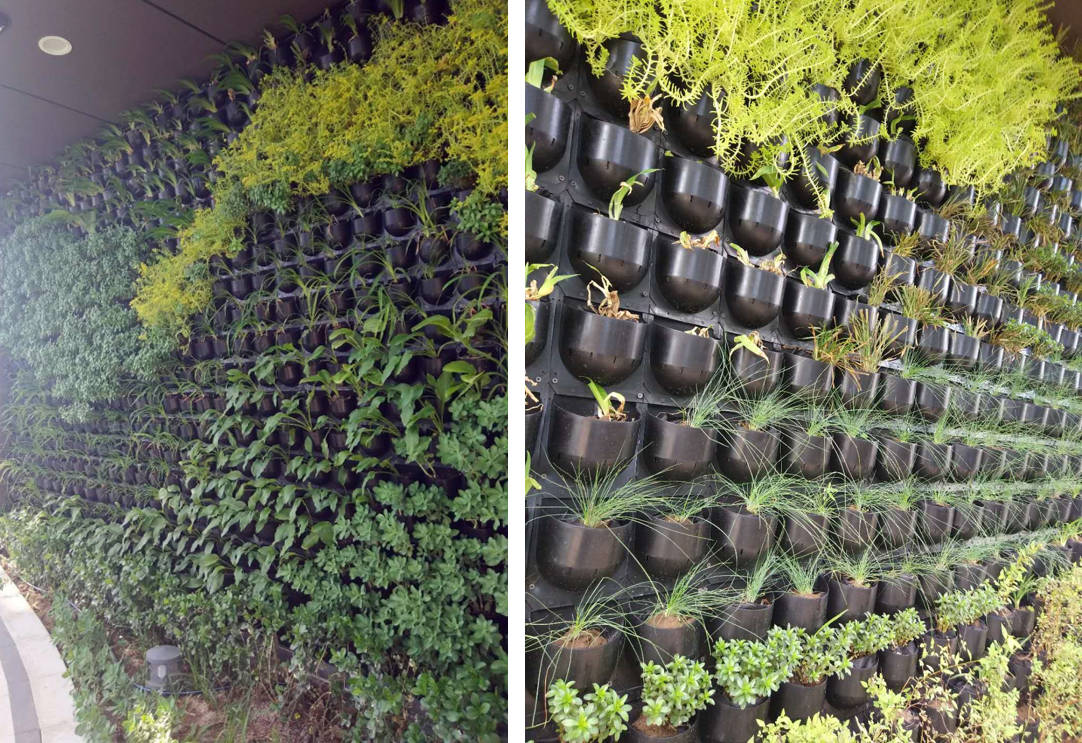 園冶杯專業獎：中航資本大廈超高層建筑屋頂花園