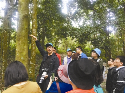 北林大“青藍(lán)計(jì)劃”學(xué)員走進(jìn)熱帶森林
