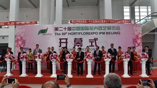 2018中國花卉市場回顧：風云變幻 電商崛起