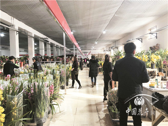 北京花卉市場疏解搬遷現狀調查