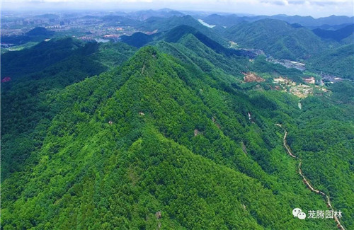 林城山水中，享一份寧靜——廣東中山國家森林公園