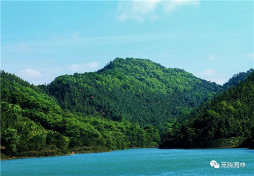 林城山水中，享一份寧靜——廣東中山國家森林公園