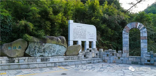 林城山水中，享一份寧靜——廣東中山國家森林公園