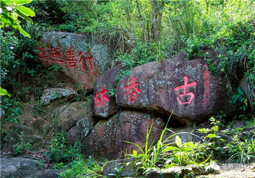 林城山水中，享一份寧靜——廣東中山國家森林公園