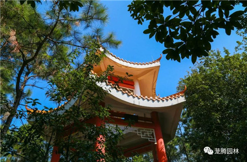林城山水中，享一份寧靜——廣東中山國家森林公園
