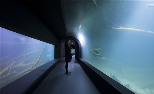 卡爾洛瓦茨淡水水族館和河流博物館