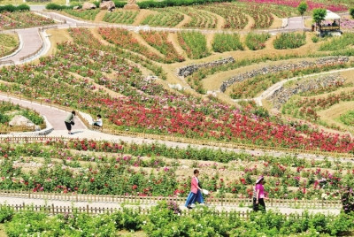 北京市鄉村振興戰略規劃（2018-2020年）解讀