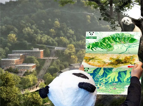 成都熊貓保護(hù)區(qū)制定總體規(guī)劃