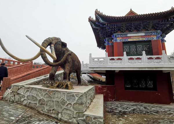 “毀林建私人莊園”穿著怎樣的“防彈衣”