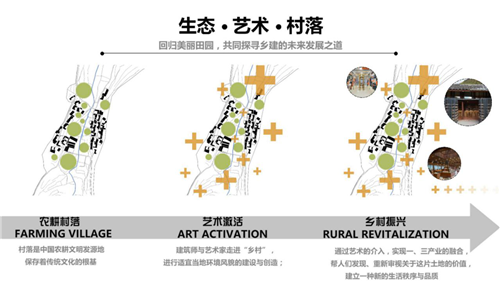 朱玲：鄉村設計之生命力——設計與產業協同