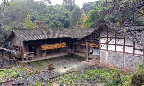李沄璋：鄉(xiāng)村振興背景下對(duì)川西林盤保護(hù)與更新的思考