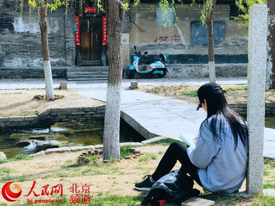 北京：街區(qū)更新　胡同里的“春天”藏不住