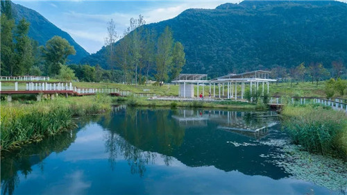 超低造價的生態景觀 | 秦嶺國家植物園人工濕地