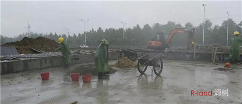 丹是丹 嶺是嶺