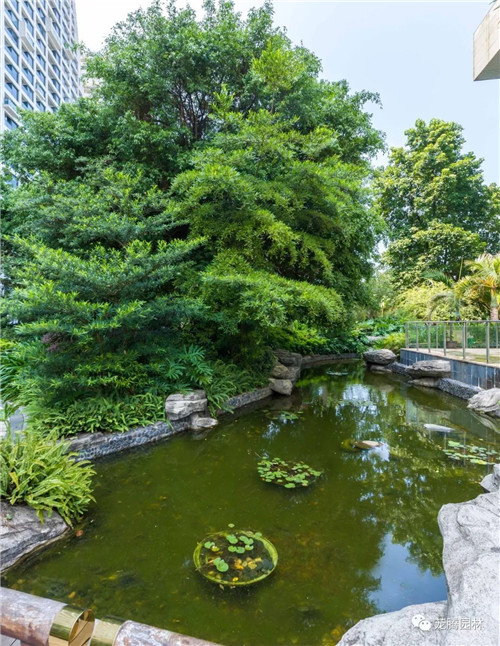 日觀山水，夜賞流螢|廣西北海北部灣1號(hào)