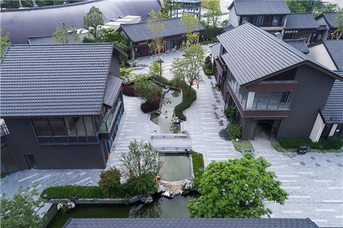 禪緣此地，不向遠方——新興禪域小鎮