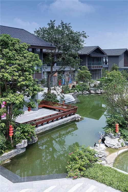 禪緣此地，不向遠方——新興禪域小鎮