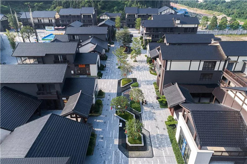 禪緣此地，不向遠方——新興禪域小鎮