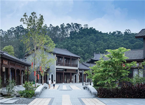 禪緣此地，不向遠方——新興禪域小鎮