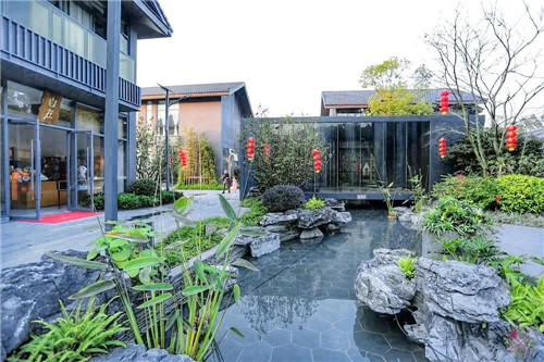 禪緣此地，不向遠方——新興禪域小鎮