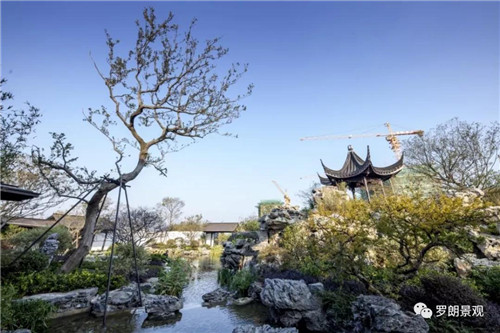 方寸之間，自有天地 | 南京建發(fā)?央譽