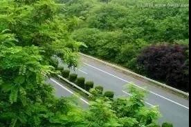 綠色通道綠地的設(shè)計(jì)與維護(hù)