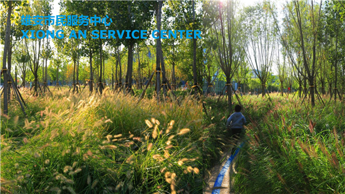 郭雋菡：藍綠宜居空間規劃與適應性海綿城市設計思考