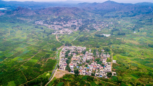 鄉村振興落地園林行業大有可為，但謹防走入誤區