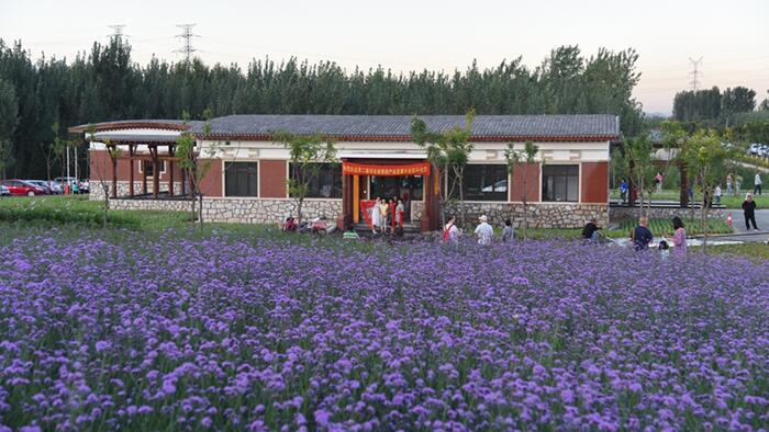鄉村振興落地園林行業大有可為，但謹防走入誤區