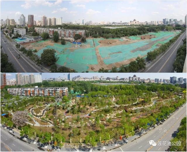 北京蓮花池公園：科技打造“城市森林”