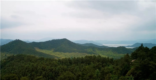 打造夢想中的自然棲息地丨浙江龍湖坤和·天境