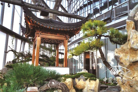 世界最高室內(nèi)中國園林 上海半畝園正式對公眾開放