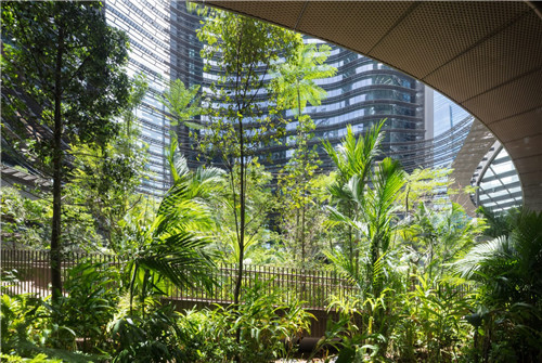 埃菲爾鐵塔周邊將改造為大花園，由哪位大師設計？
