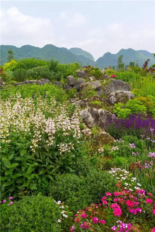 “秘密花園”，云漫湖的詩與遠方！